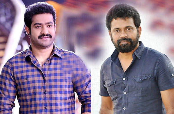 ntr and sukumar combo movie,ntr movie in london,bvsn prasad new movie with ntr and sukumar,rakul preeth singh  లండన్‌లో మకాం వేస్తున్న ఎన్టీఆర్‌, సుకుమార్‌.!